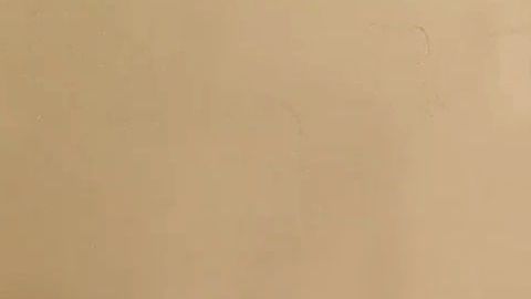 La pareja evió un mensaje a sus detractores en inglés y español.