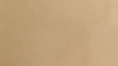 La pareja evió un mensaje a sus detractores en inglés y español.