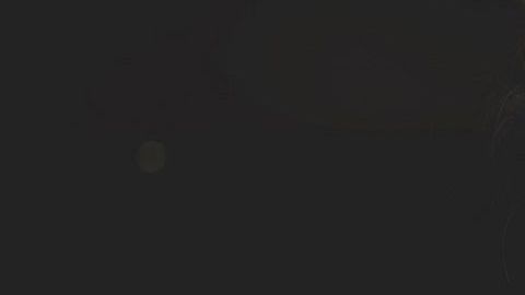 El coronavirus no es mortal para la mayoría de las personas.