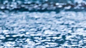 Dos invitados murieron en la misma piscina.