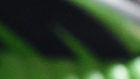 Antonio Mohamed no ha podido levantar a Rayados.