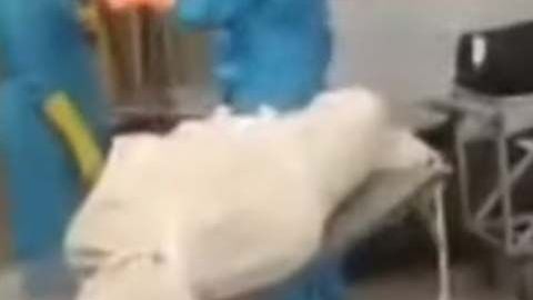 Los cadáveres estaban enfudados en bolsas negras.