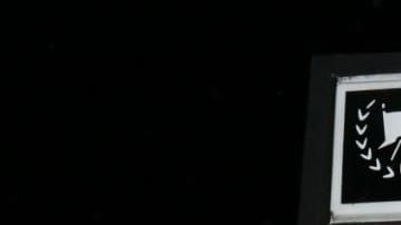 Mujer se arroja al metro