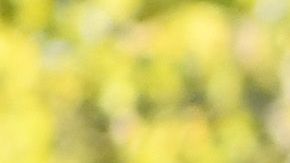 Serena Williams y su hija Alexis Olympia.