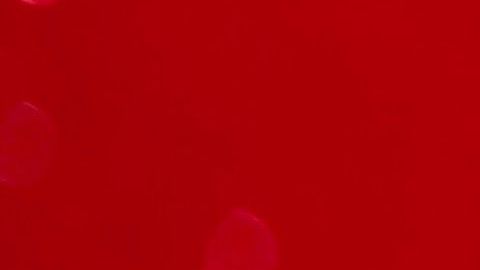 Myrka Dellanos en "Al Rojo Vivo".