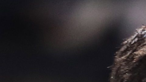 EL serbio Novak Djokovic estaba confirmado para el torneo.