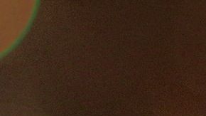 La elección de un nombre para la mascota suele ser un proceso complicado a veces.