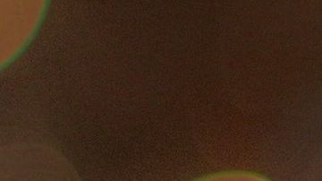 La elección de un nombre para la mascota suele ser un proceso complicado a veces.