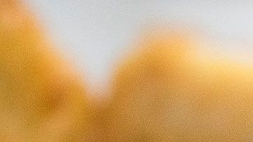 La empresa hasta pierde dinero al venderlos a tan bajo precio.