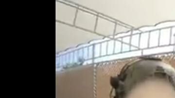 Ovidio Guzmán López, del clan “Los Chapitos”, es uno de los hijos del exlíder del Cártel de Sinaloa Joaquín "El Chapo" Guzmán.