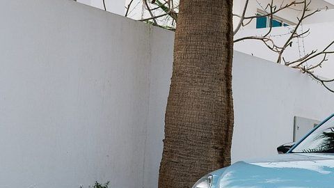 El Beetle de Volkswagen es uno de los autos que tienen el mismo valor en México que un smartphone de gama alta.