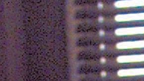 Violencia doméstica