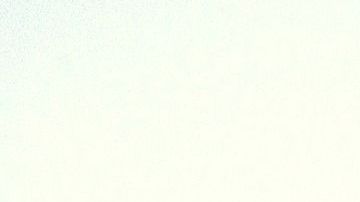 Beneficios espirituales del palo santo.