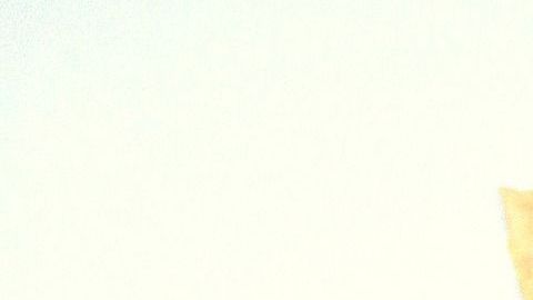 Beneficios espirituales del palo santo.