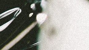 Lo hizo para darle gusto a su pareja.