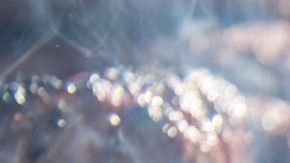 Se hace muy buena comida en las parrillas, pero también quedan impresentables al final.