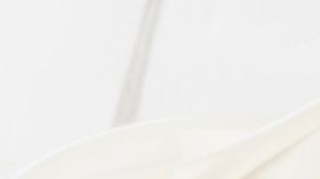 Pasta y frijoles-travellinglight-Canva