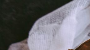 Pastel chocolate-Canva