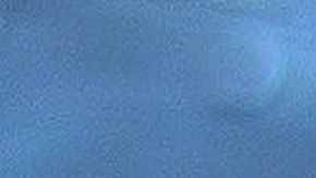 Los cojinetes de los canes puden limpiarse con agua y jabón o toallitas húmedas para perro.