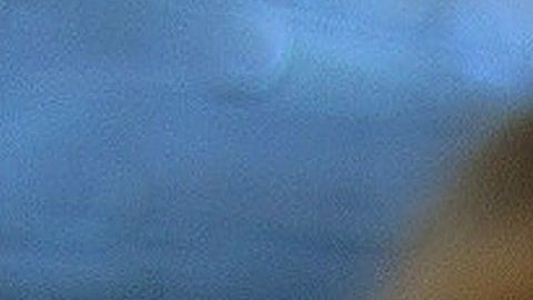 Los cojinetes de los canes puden limpiarse con agua y jabón o toallitas húmedas para perro.