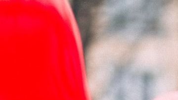 Las mujeres más enamoradizas.