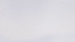 Las hembras en celo cambian su temperamento.