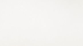 Los perros no deben andar en dos patas porque es dañino para su salud.