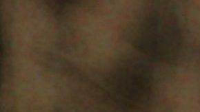 Los abrazos estresan a los perros.