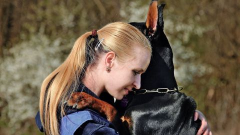 Los abrazos estresan a los perros.