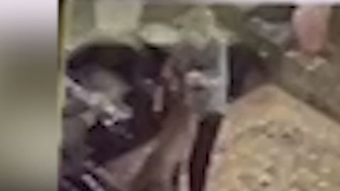 El ataque es brutal.