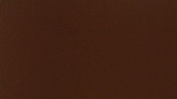 Un canino resultó ser un buen cuidador de pequeños.