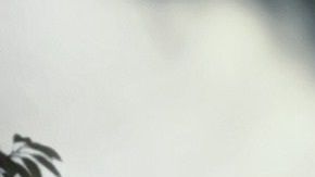 La historia de Moose conmueve a más de 140 mil usuarios de Instagram.