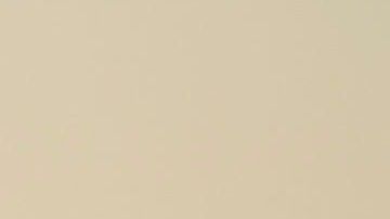 La pérdida de una mascota puede ser tan dolorosa como la de un ser querido.