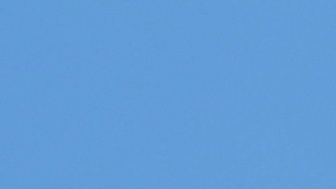 La dentadura de un canino dice su edad.