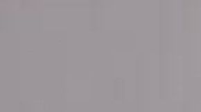 Las mascotas pueden  comenzar a familiarizarse con el bebé aún antes de su llegada mediante el olfateo de su futura ropa.