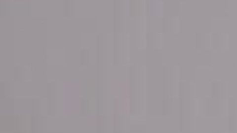 Las mascotas pueden  comenzar a familiarizarse con el bebé aún antes de su llegada mediante el olfateo de su futura ropa.