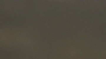 Cuando un perro se rasca con frecuencia el hocico podría padecer alguna enfermedad.