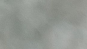 La vida del canino puede terminar por enfermedades mortales no atendidas a tiempo.