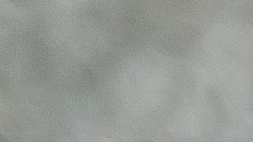 La vida del canino puede terminar por enfermedades mortales no atendidas a tiempo.