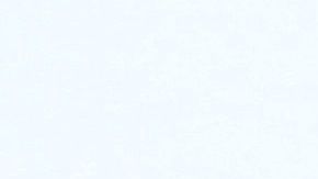 Niños que crecen con perros disminuyen posibilidad de desarrollar esquizofrenia.