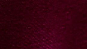 Los perros pueden comer helado, pero solo a base de agua, frutas y sin azúcar