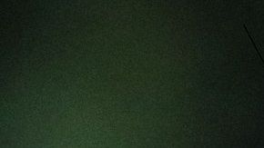 Los perros pueden detectar si una persona siente temor.