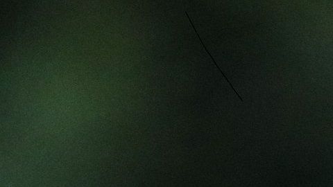 Los perros pueden detectar si una persona siente temor.