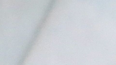 El insomnio también afecta a los canes.