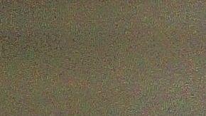 Para enseñar a un perro a dejar de ladrar se debe comenzar con un entrenamiento animando al can a que lo haga.