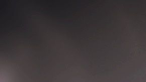 Los lamidos son una forma de comunicación canina.