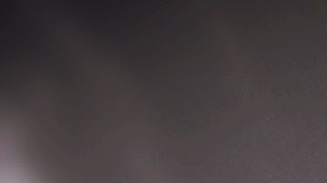 Los lamidos son una forma de comunicación canina.