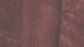 Tanto a los perros como a los niños se les debe inculcar el respeto mutuo.