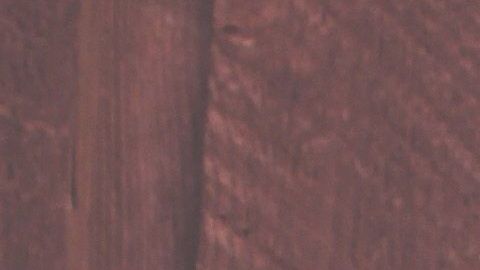 Tanto a los perros como a los niños se les debe inculcar el respeto mutuo.