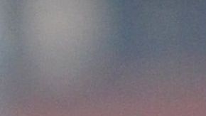 El uso de cubrebocas en un perro no tiene utilidad alguna.